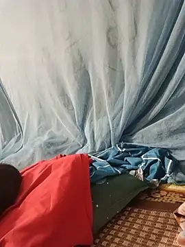 Sana-vn webcam