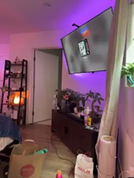 alldogsgotoheaven webcam