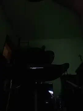 zico895 webcam