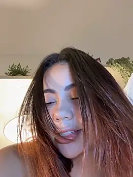 Aryrosee webcam