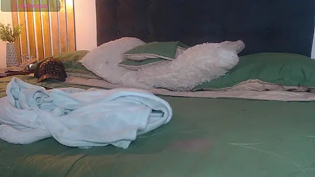 Jesve webcam