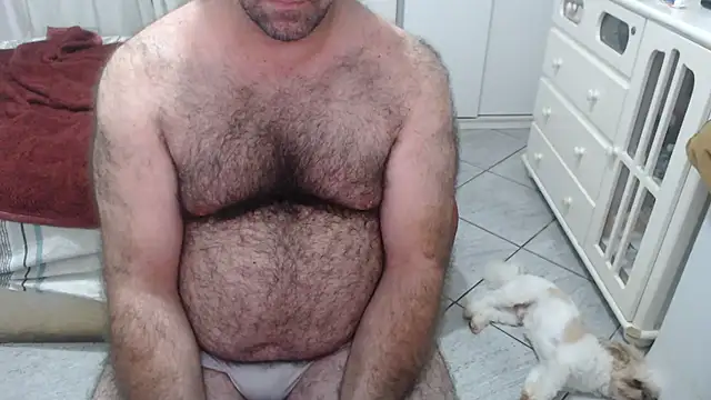 MysterBearMG webcam