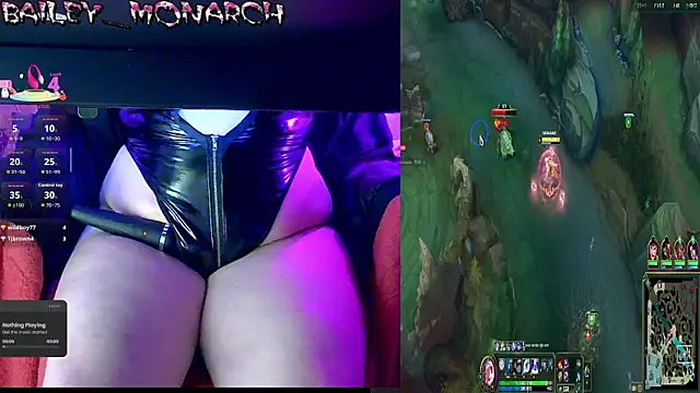 baileymonarch webcam
