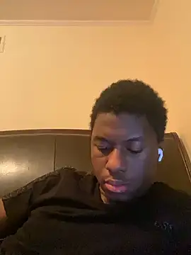 ThickDic28 webcam