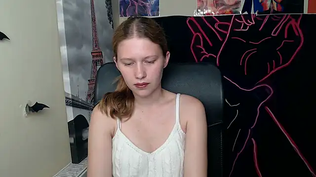 StellaCRL webcam
