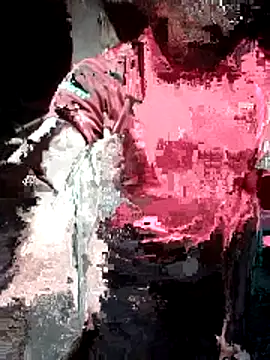 phlin1 webcam