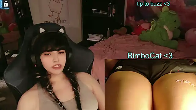 BimboCat webcam