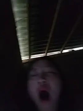zhen-zo webcam