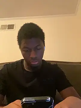 ThickDic28 webcam