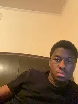 ThickDic28 webcam