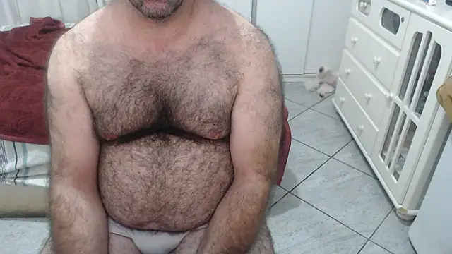 MysterBearMG webcam