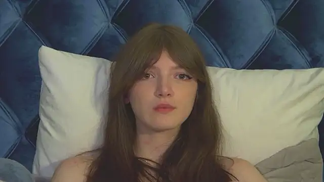 SophiaProve webcam