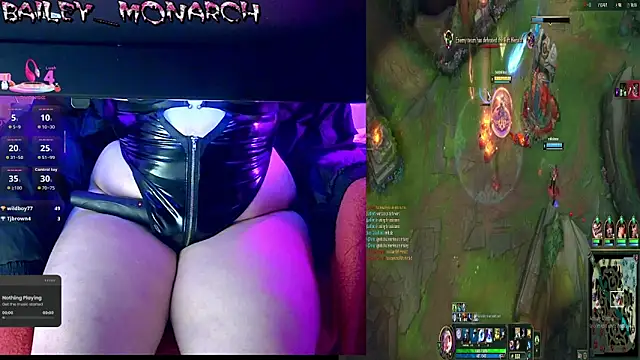 baileymonarch webcam