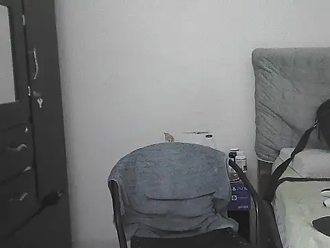 IronSideBear webcam