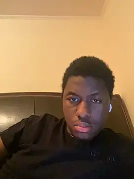 ThickDic28 webcam
