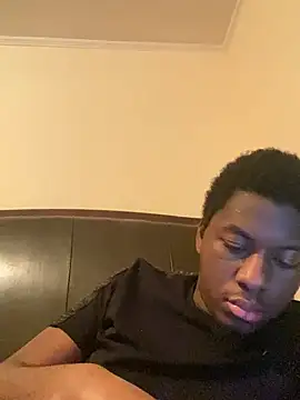 ThickDic28 webcam