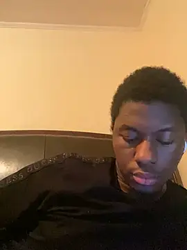 ThickDic28 webcam