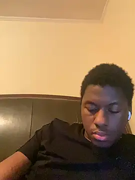 ThickDic28 webcam
