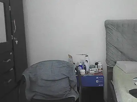 IronSideBear webcam
