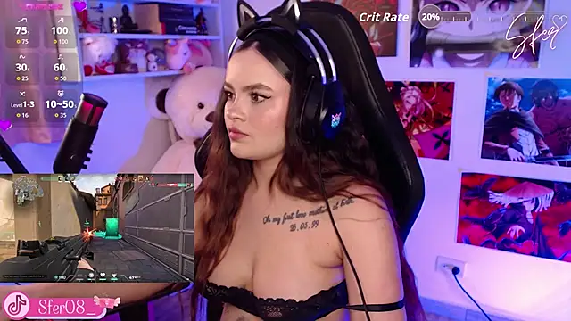 Iamsfer webcam