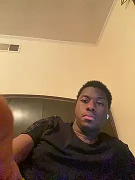 ThickDic28 webcam