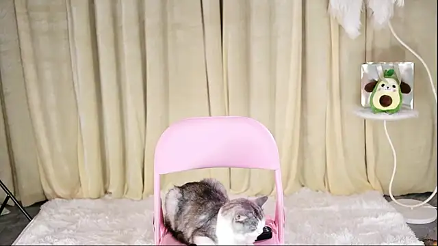 Miracle-SS webcam