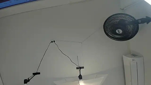Taylor_Royal_ webcam