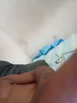 Roludobsb18cm webcam