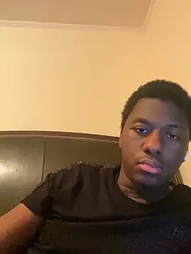 ThickDic28 webcam