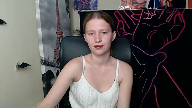 StellaCRL webcam