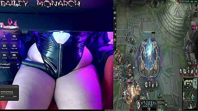baileymonarch webcam
