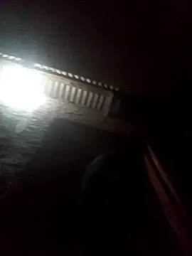 Ridick2025 webcam