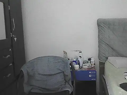 IronSideBear webcam