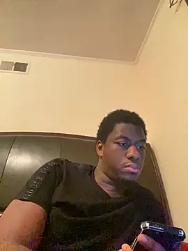 ThickDic28 webcam