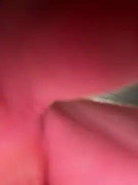 Sarado_Tesudo webcam