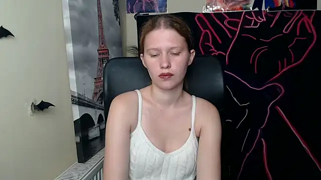 StellaCRL webcam