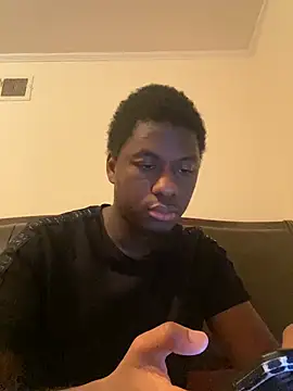 ThickDic28 webcam