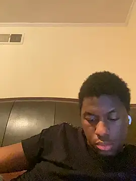 ThickDic28 webcam