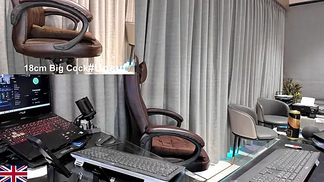 OnlineBossUK webcam