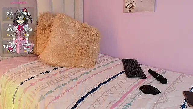 Mhia_palmer webcam