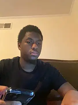 ThickDic28 webcam