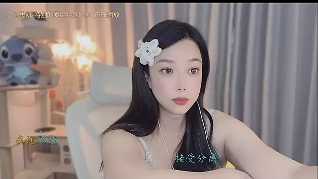 facai-feifei webcam