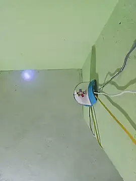 LSebxs12 webcam
