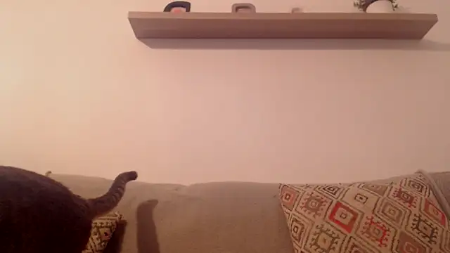 ClaraLollipop webcam