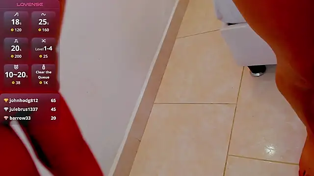 lady_boox webcam