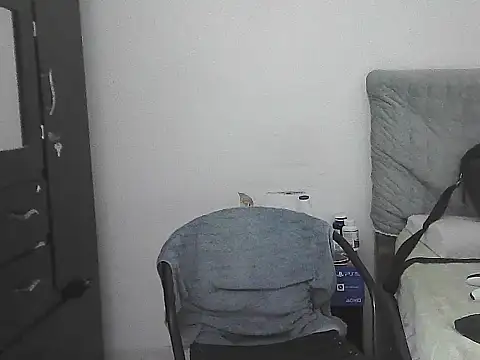IronSideBear webcam