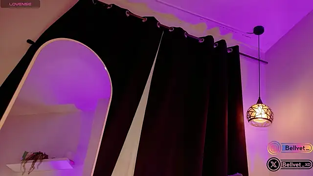 bellvet_ webcam