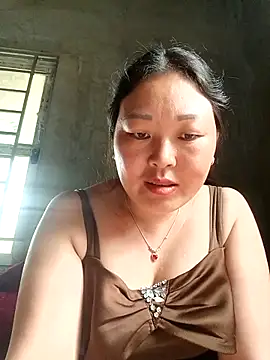 mptan73 webcam