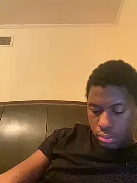 ThickDic28 webcam