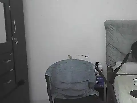 IronSideBear webcam